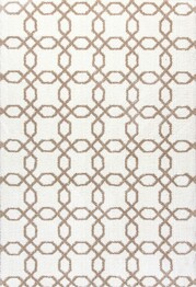 Dynamic Rugs SILKY SHAG 5905-111 White